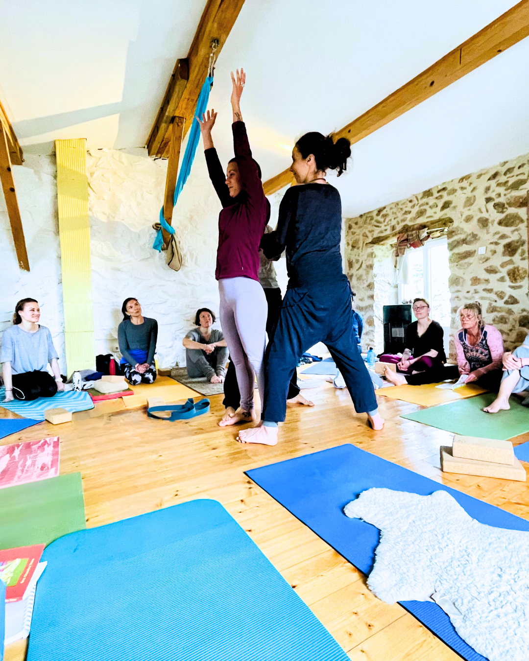 202503- yogaji durgaji retraite formation professeur yoga julie giacomini ardeche (6)